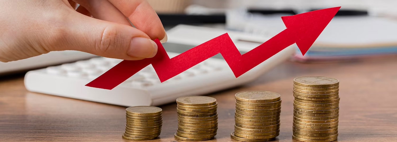 我們的優(yōu)勢(shì)